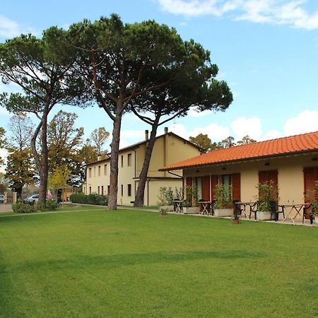 Villa Rosy Torre del Lago Puccini Exterior foto